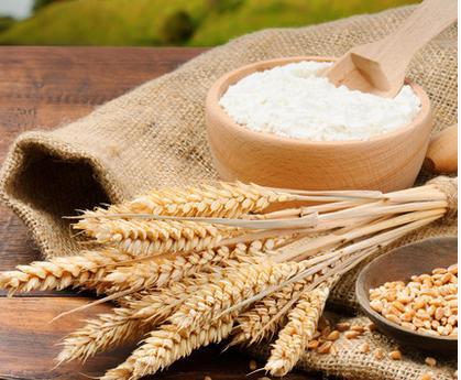 面粉制品改良劑主要有哪些？